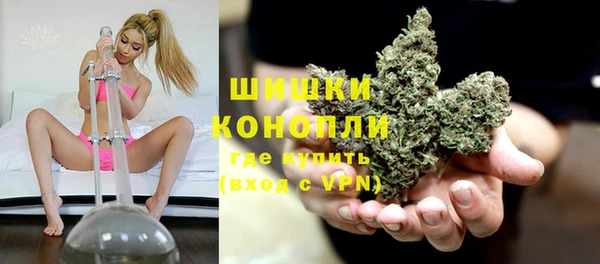ПСИЛОЦИБИНОВЫЕ ГРИБЫ Кулебаки