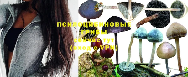 марки lsd Лагань